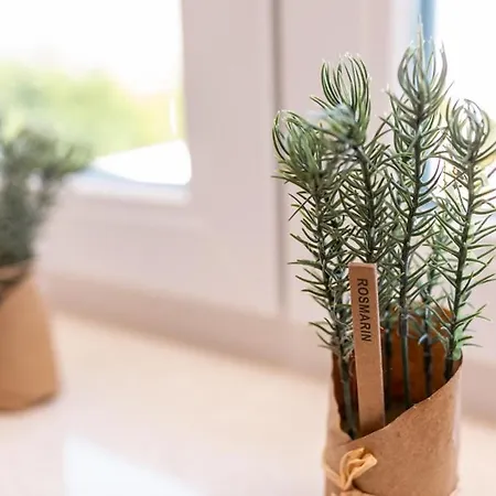 Appartamento Vugrinec With Terrace Baška